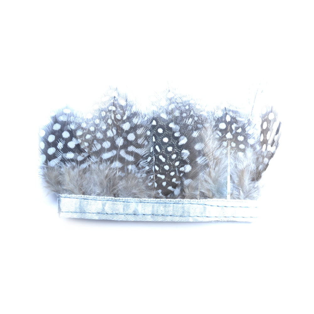 Plumas Fleco Guinea plata
