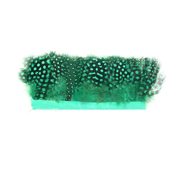 Plumas Fleco Guinea verde agua