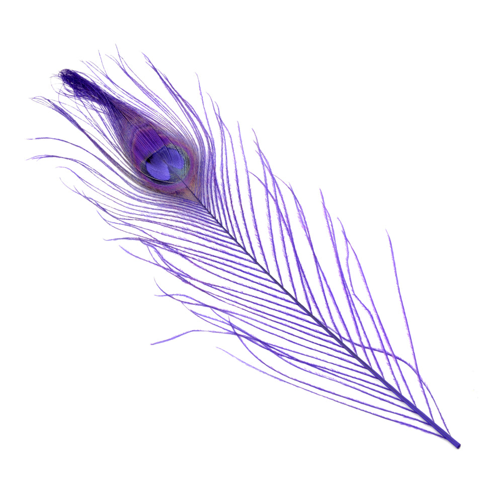 Plumas Pavo Real Colores 25 cm morado oscuro
