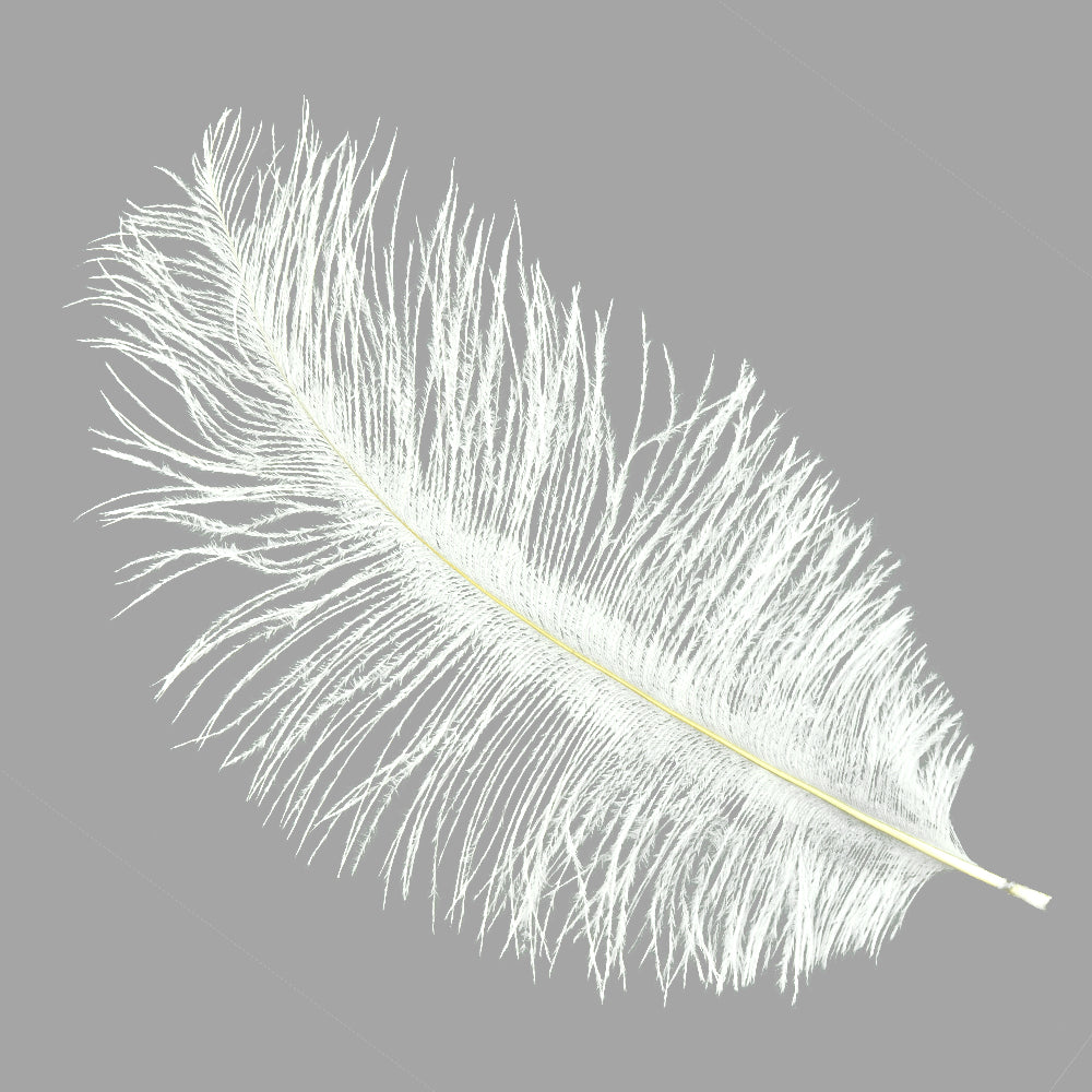 Plumas avestruz 15 20 cm blanco