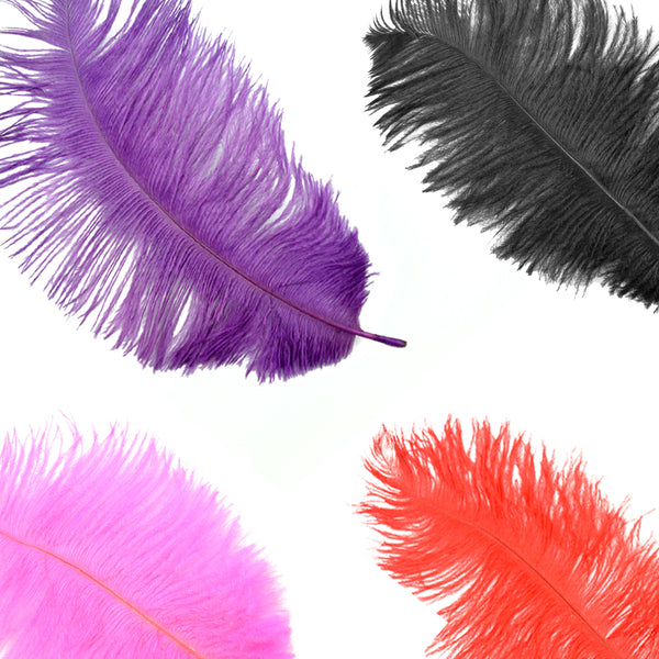 Plumas avestruz 15 20 cm montaje