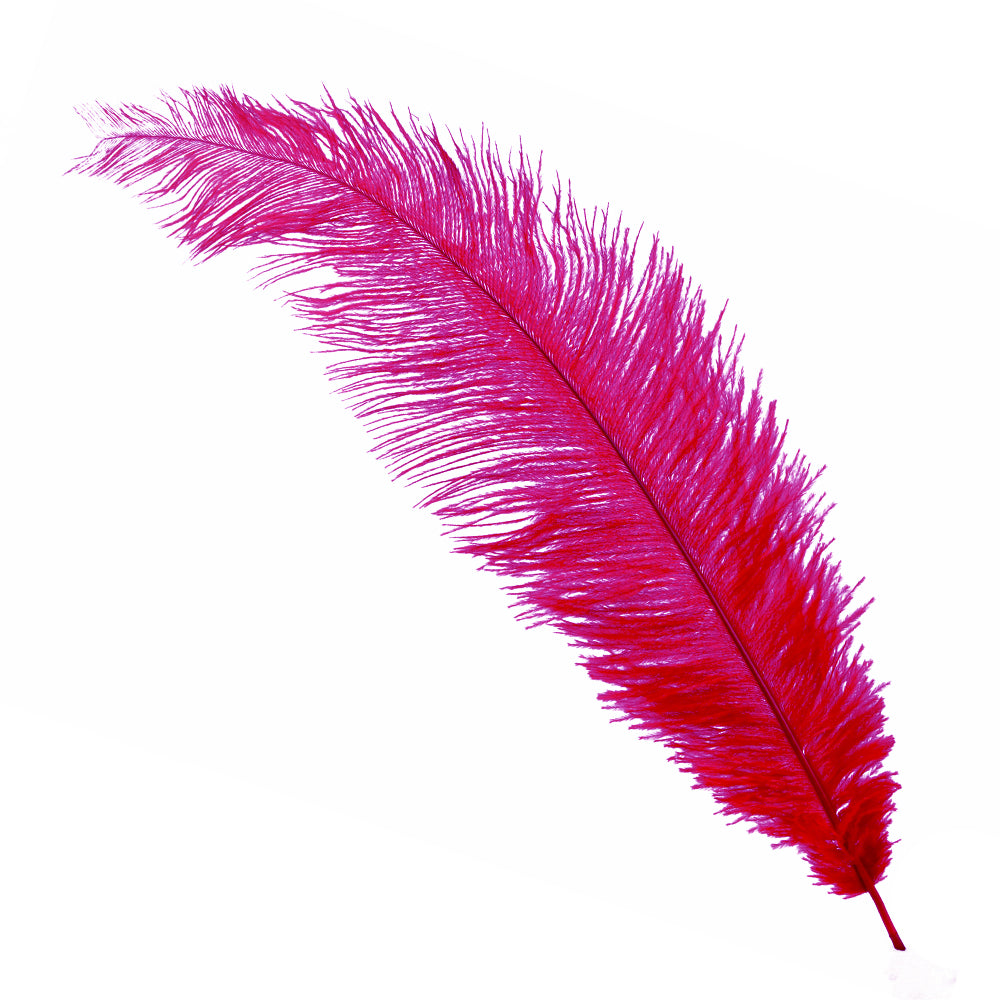 Plumas avestruz 40 50 cm buganvilla
