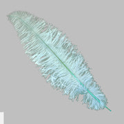 Vista 5