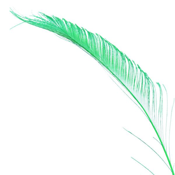 Plumas espada 30 cm verde jungla