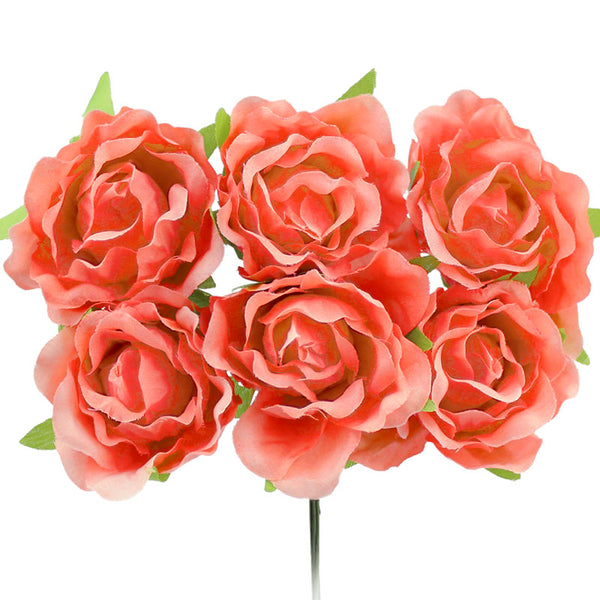 THERY CORAL