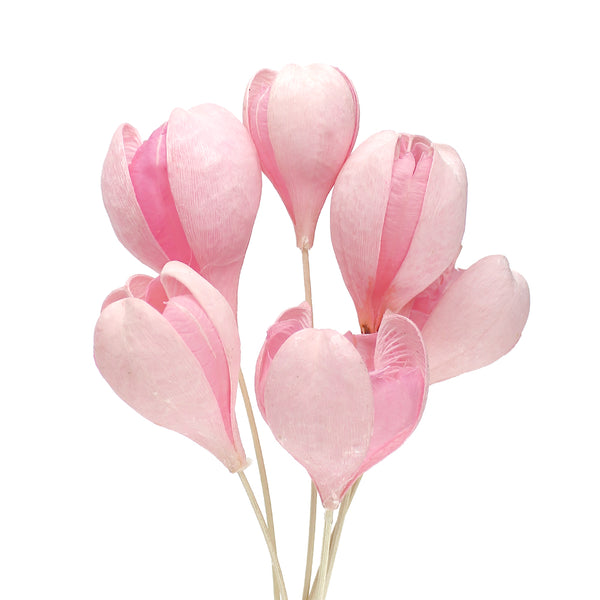 ROSAS TEFE PRESERVADAS rosa palo