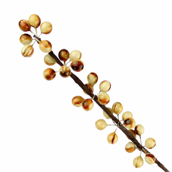 Rama Pistilo Bayas