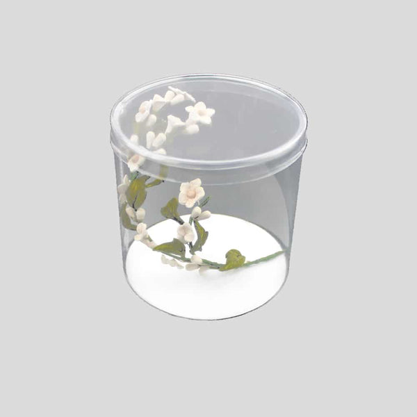 caja fondo blanco 10x10 alta calidad