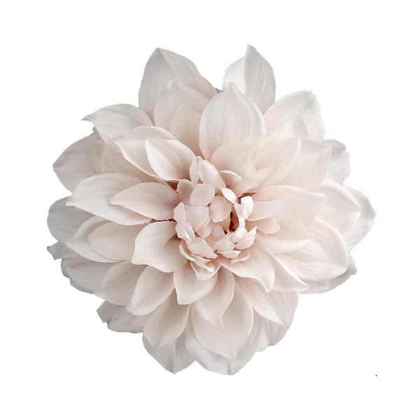 016-Rosa palo