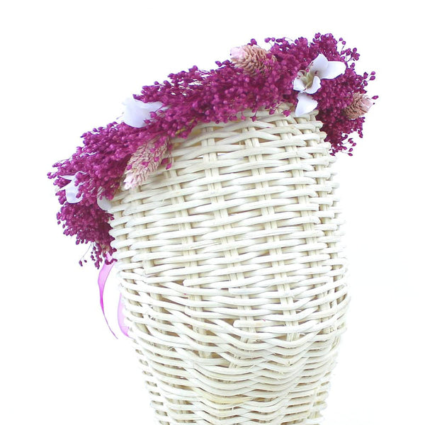 diademe priscila bougainvillea