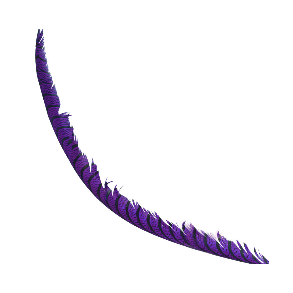 faisán Lady centro 70 75 morado