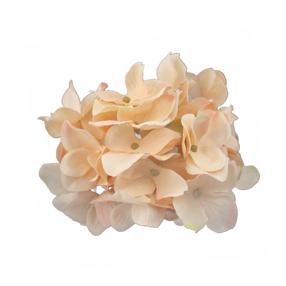 flor alana salmon 2