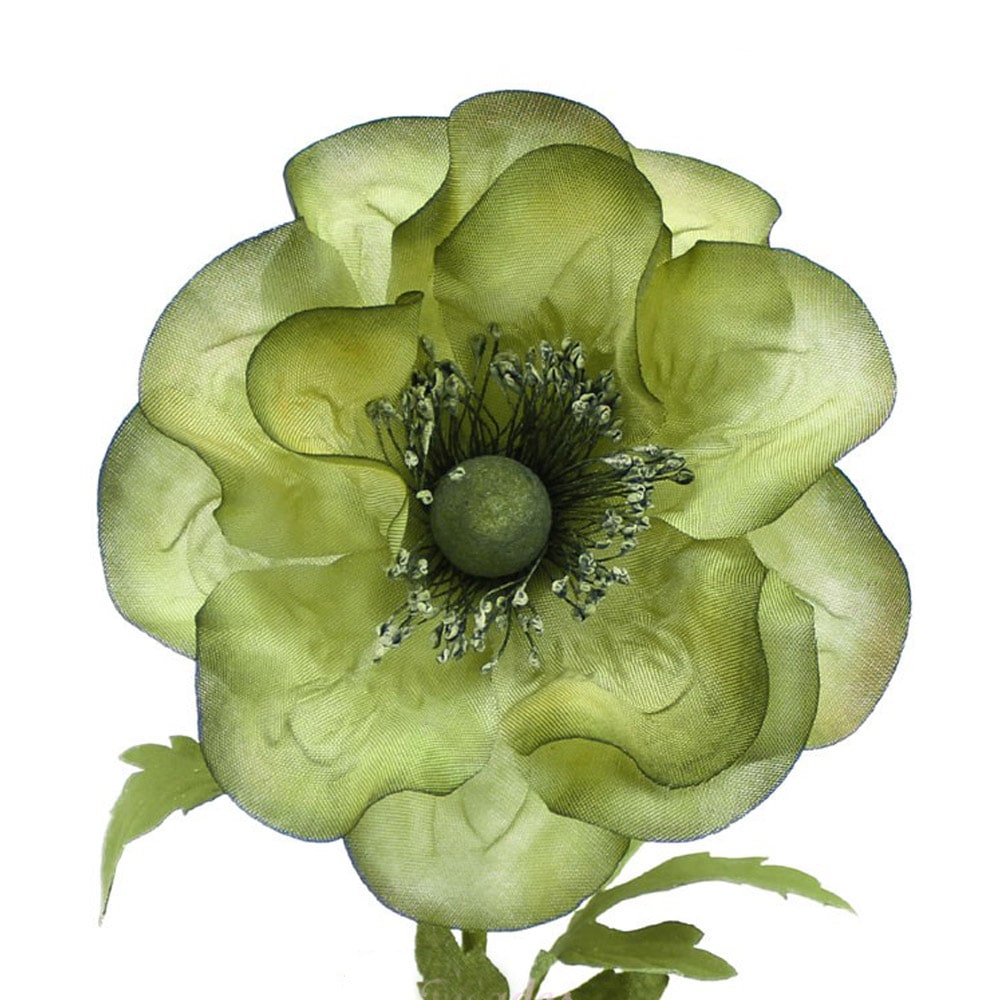 flor bailey verde empolvado