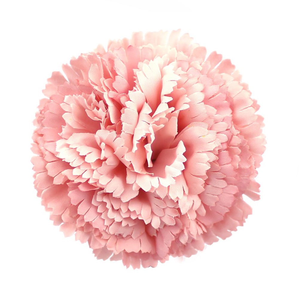016-Rosa palo