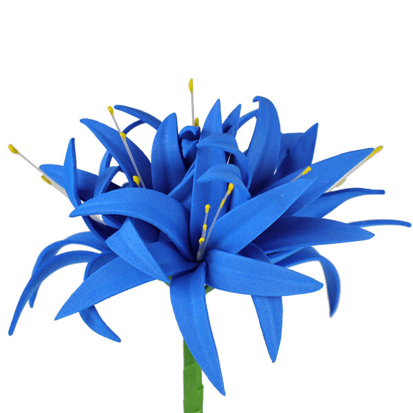 flor lirio azuzena klein