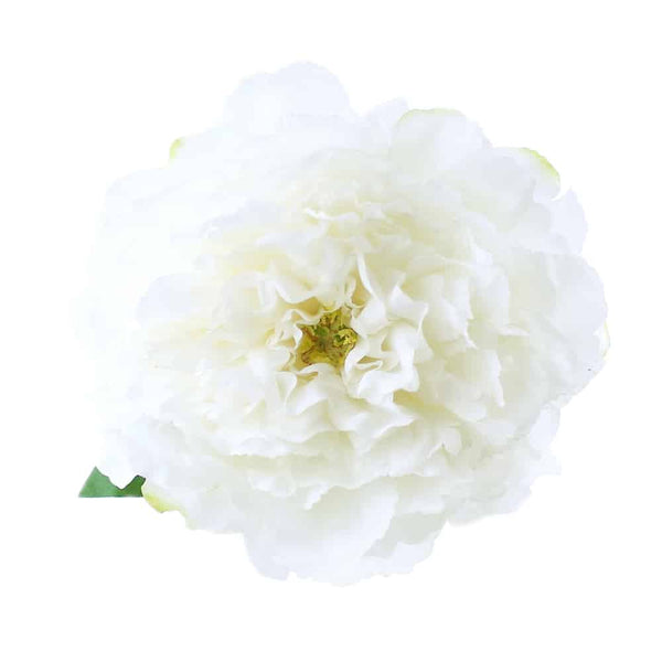 flor paula 16 cm crudo
