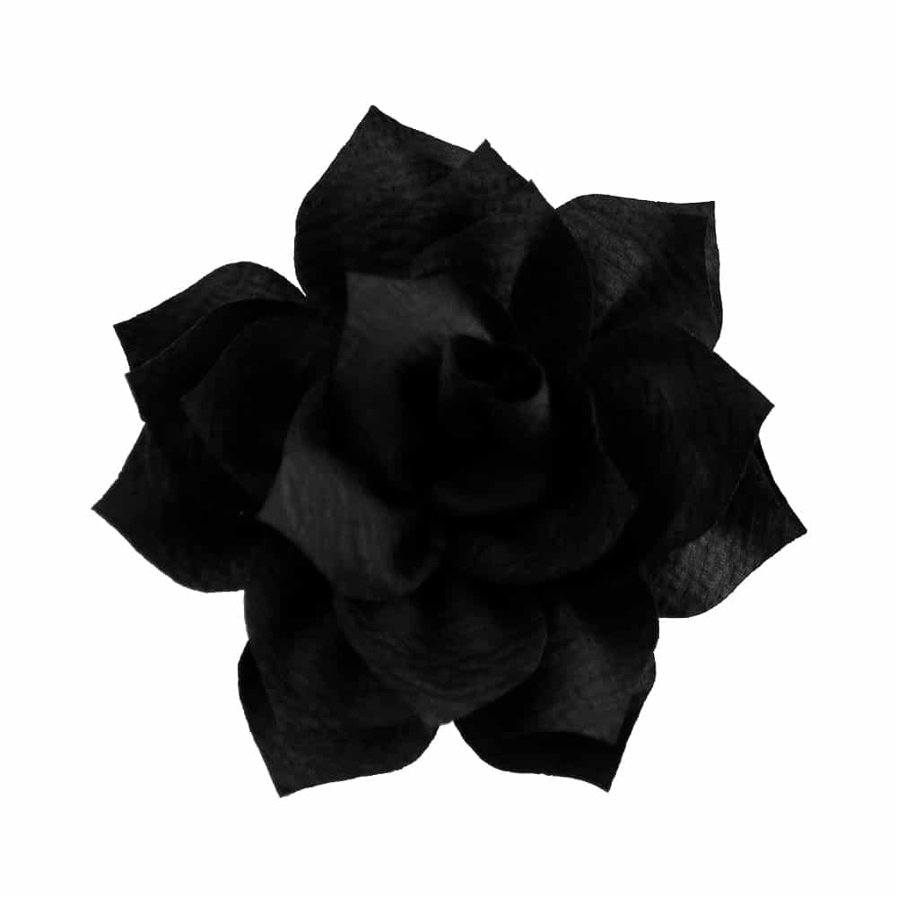 flor stella negro