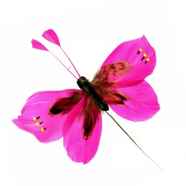 mariposa pluma antena fucsia
