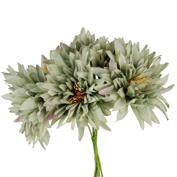 mini dalias VERDESECO