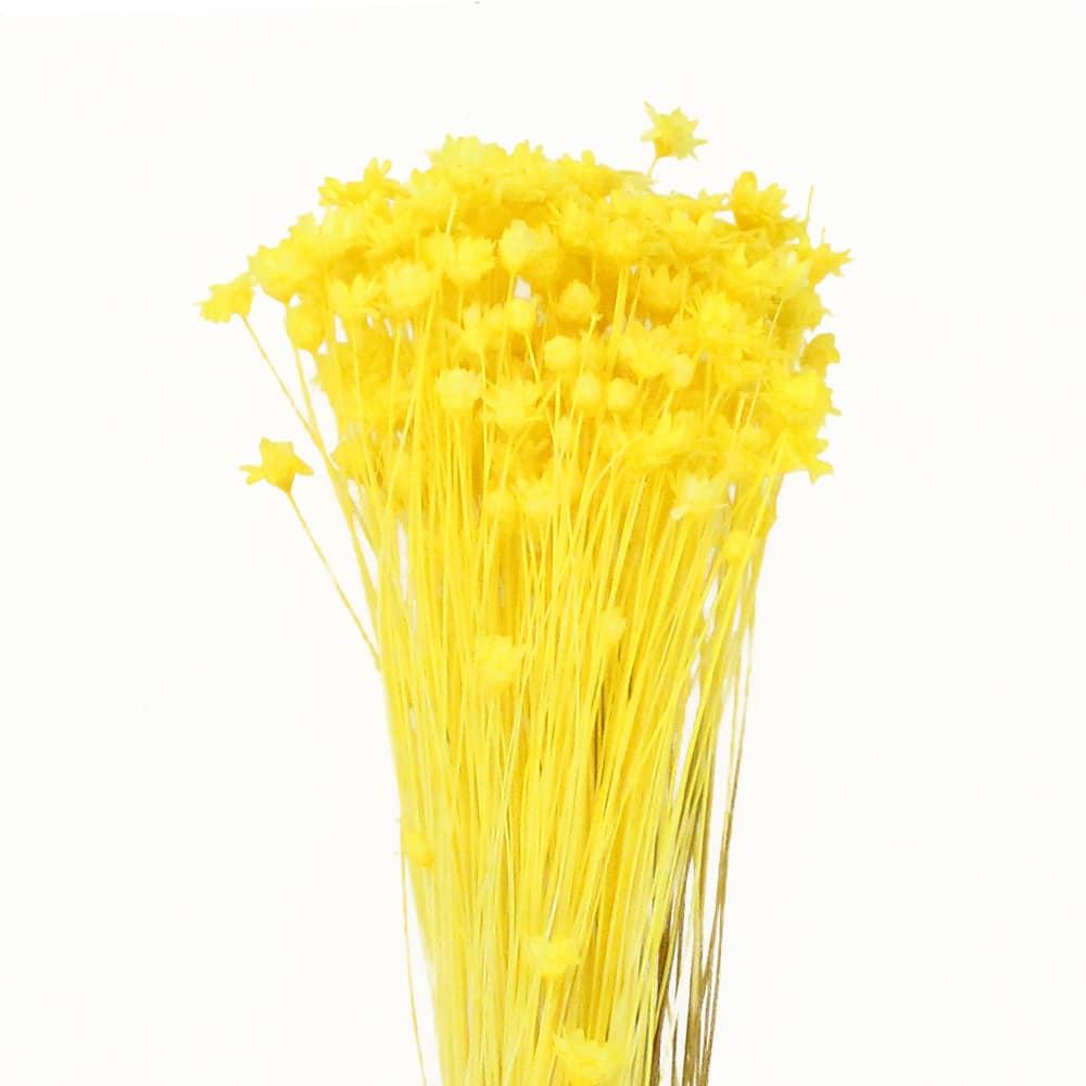 mini margaritas glixia amarillo