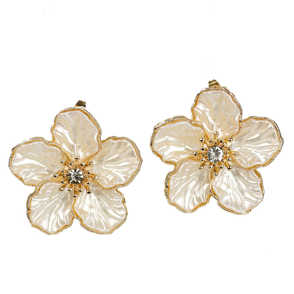 pendientes fiji