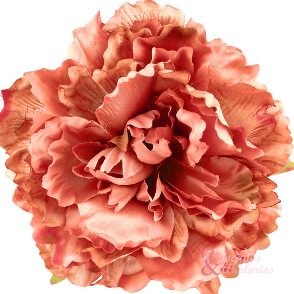 peonia fani coral