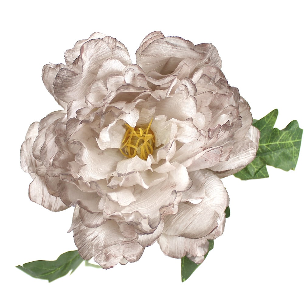 peonia noemi 14 cm gris medio