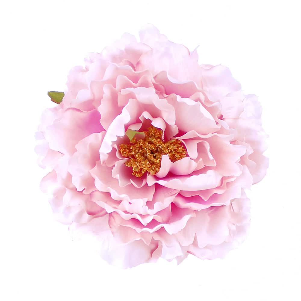 pivoine stefany rose bisque