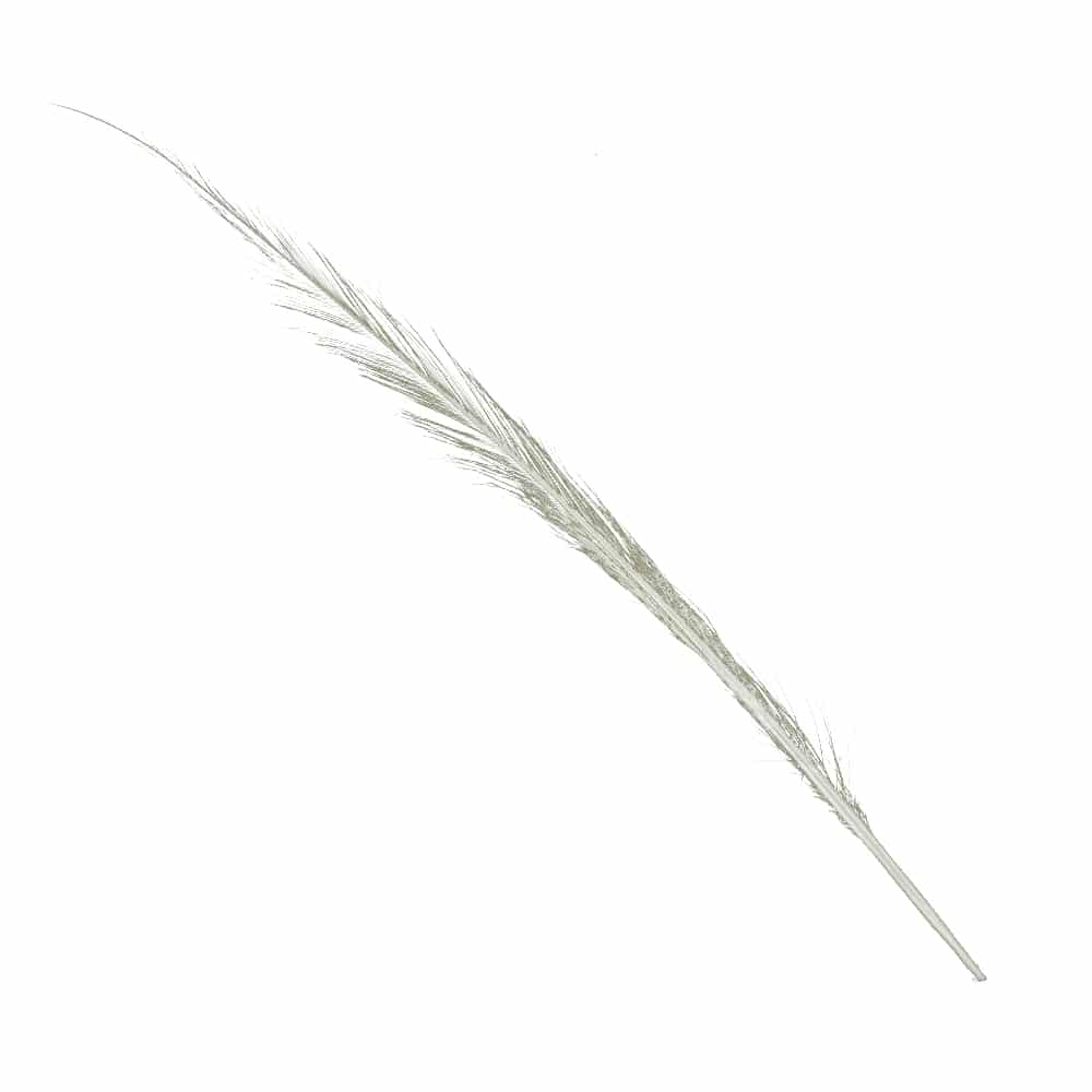 pluma faisan quemado crudo