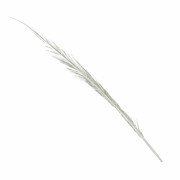 pluma faisan quemado crudo