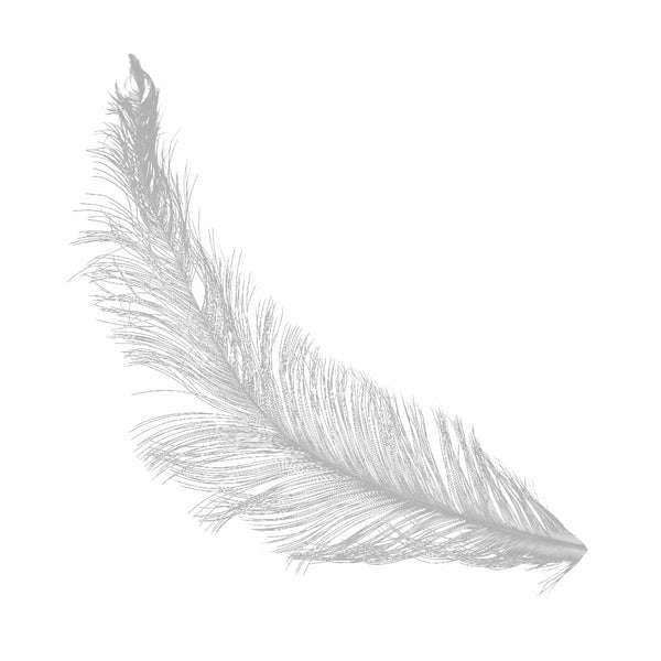pluma gallo quemada gris plata