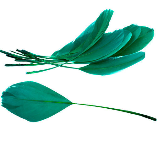 pluma antena esmeralda