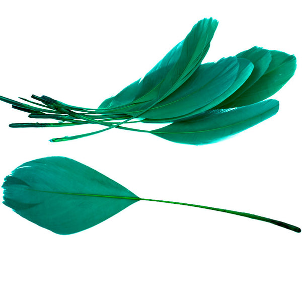pluma antena esmeralda