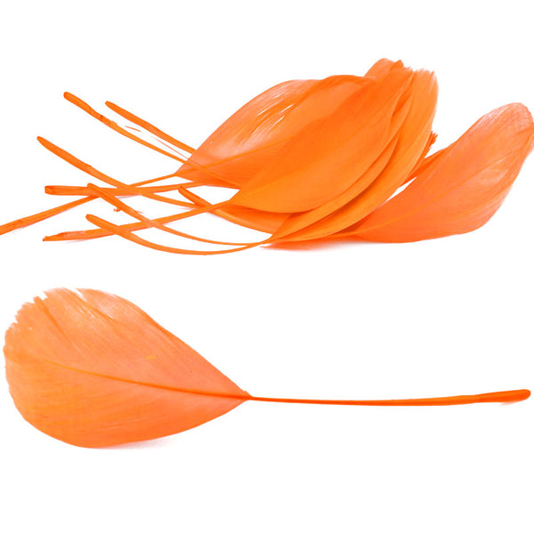 pluma antena naranja
