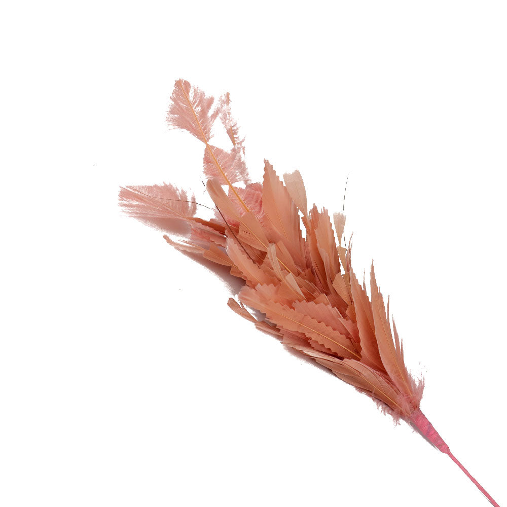 pomo atenea rosa nude