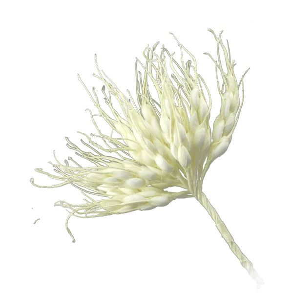 pomo espiga de trigo crudo