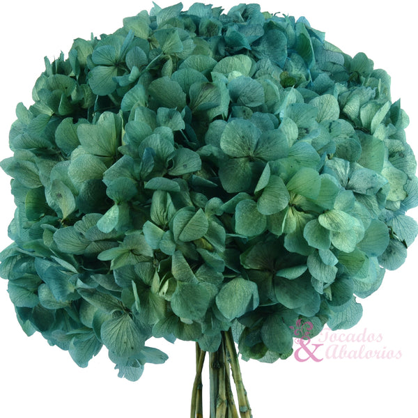 pomo hortensia preservada verdemar