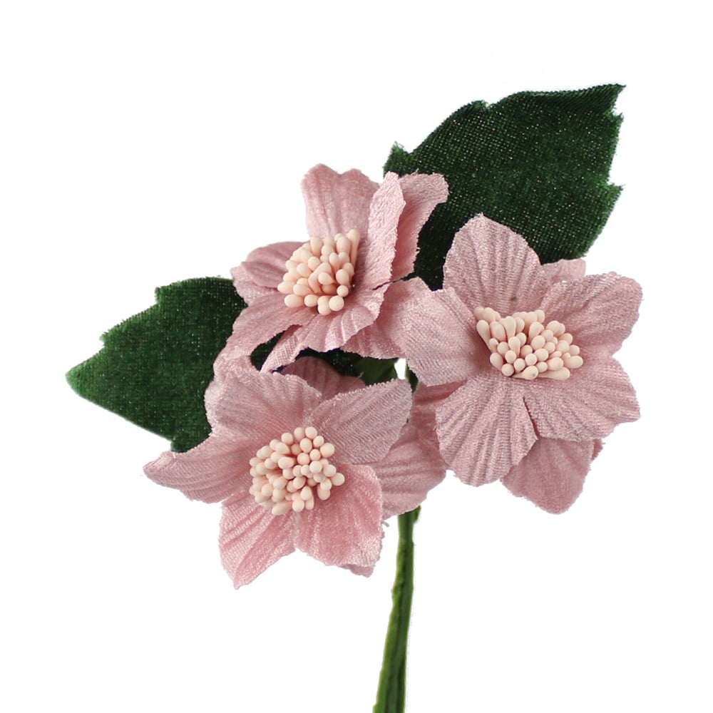 ramillete aurea rosa nude