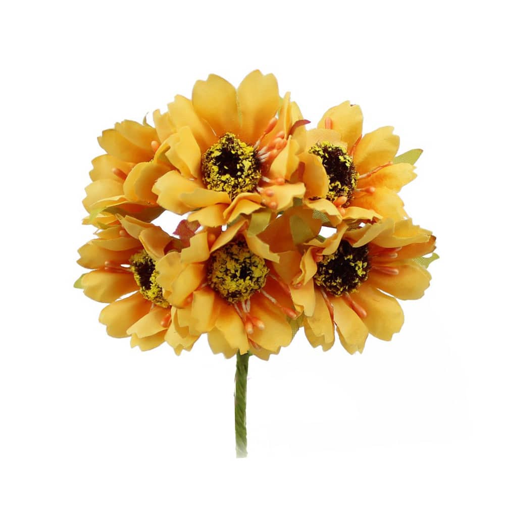 ramillete daisy melocotón empolvado