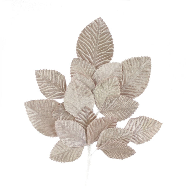 ramillete hojas dafne beige