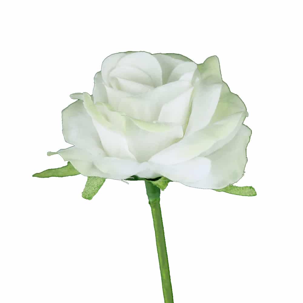 rosa 5 cm crudo y verde