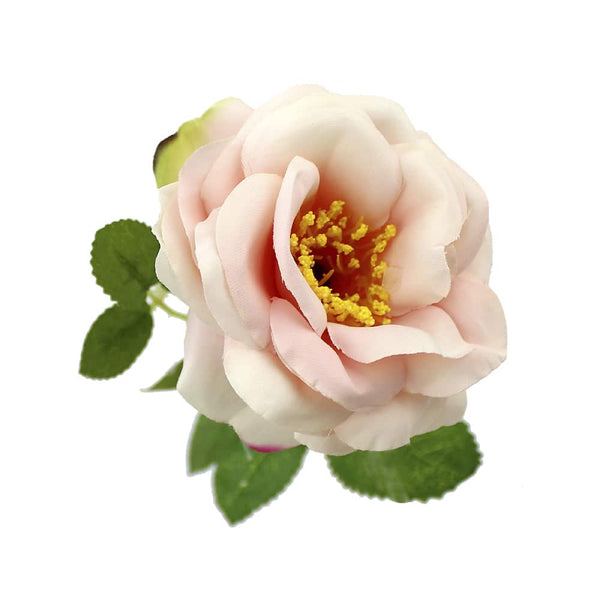 rosa nancy 8 cm salmon