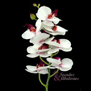Vara de orquídea
