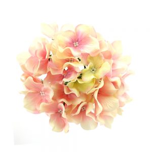 Flor Hortensia rosa