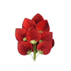 Flor fresa, 18×10 cm rojo