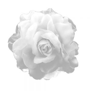 Flor tul y terciopelo blanco