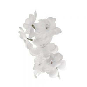 Florecillas de terciopelo color blanco