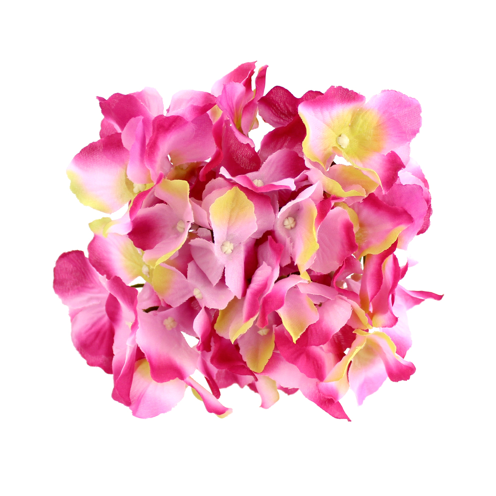 Hortensia Hydrangea 18 20 fucisa y rosa