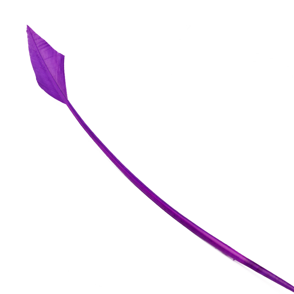 Pavo flecha 30 40 cm MORADO