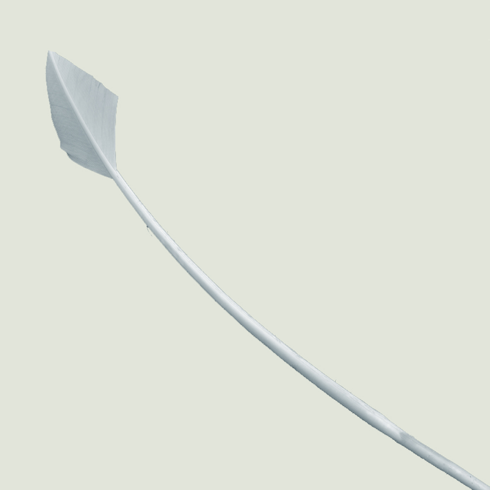 Pavo flecha 30 40 cm plata